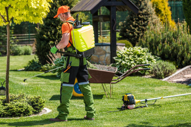 Best Outdoor Pest Control  in Kelso, WA